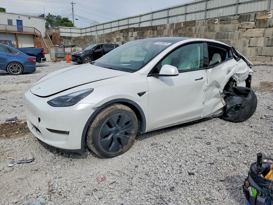 2024 TESLA MODEL Y - 1
