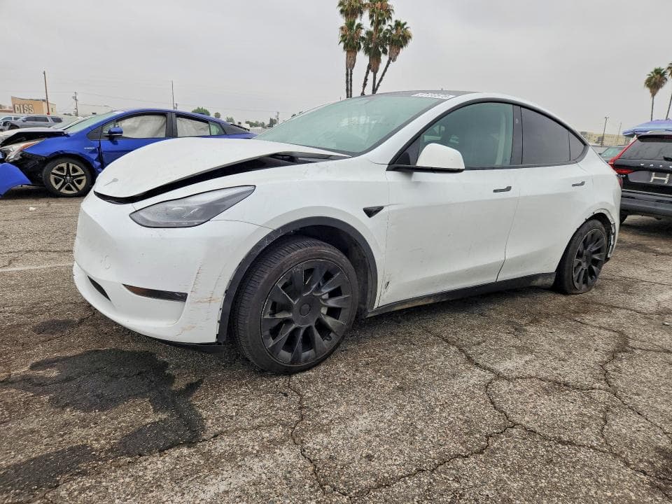 2024 TESLA MODEL Y - 1