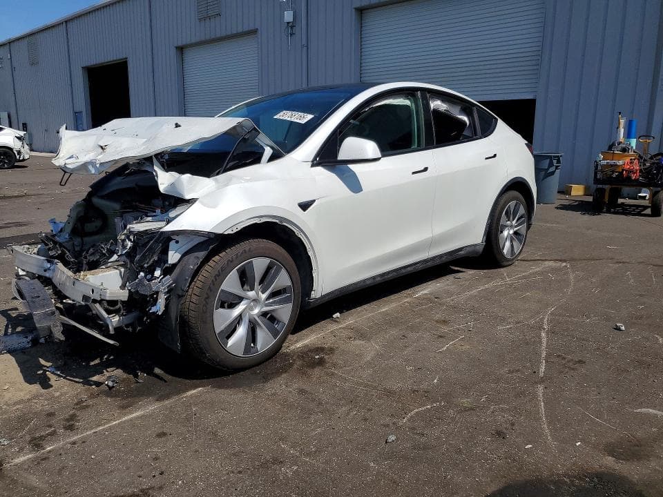 2021 TESLA MODEL Y - 1