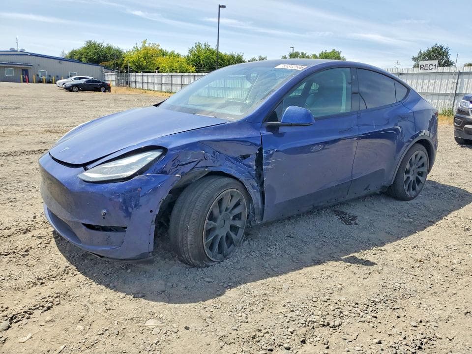 2021 TESLA MODEL Y - 1