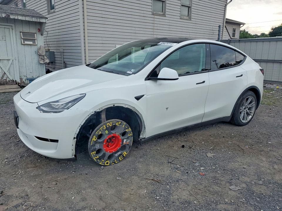 2021 TESLA MODEL Y - 1