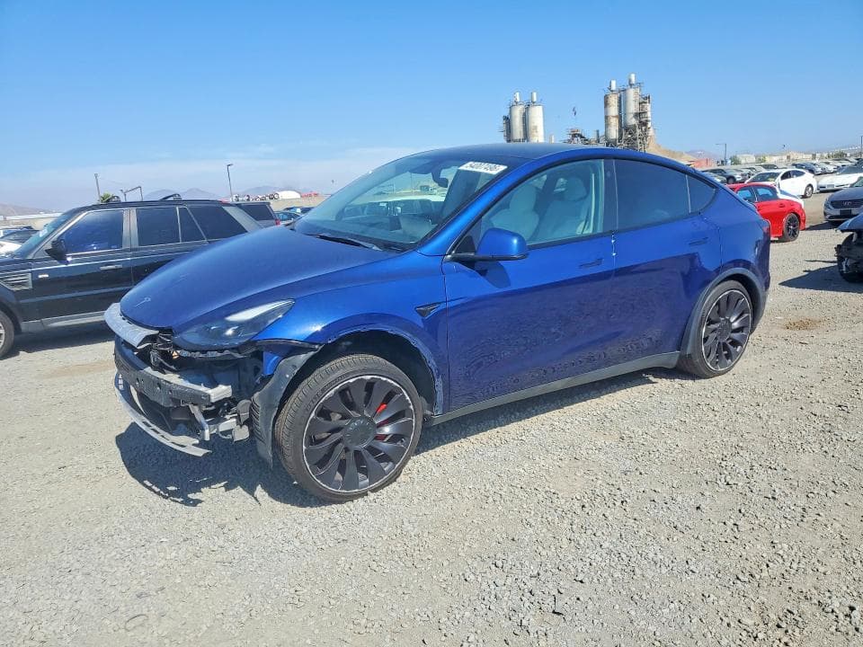 2021 TESLA MODEL Y - 1