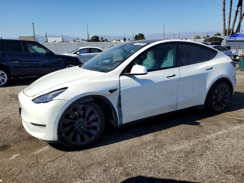 2021 TESLA MODEL Y - 1