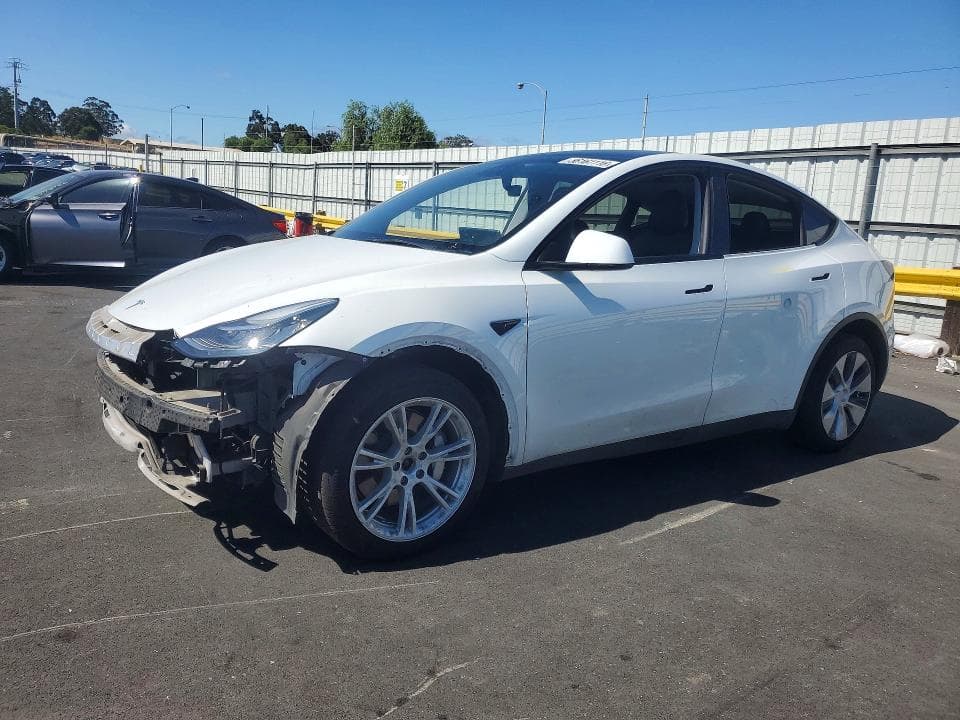 2021 TESLA MODEL Y - 1