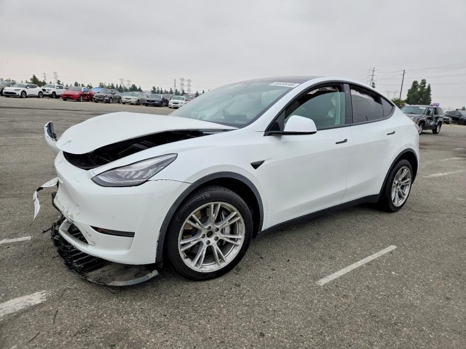 2021 TESLA MODEL Y - 1