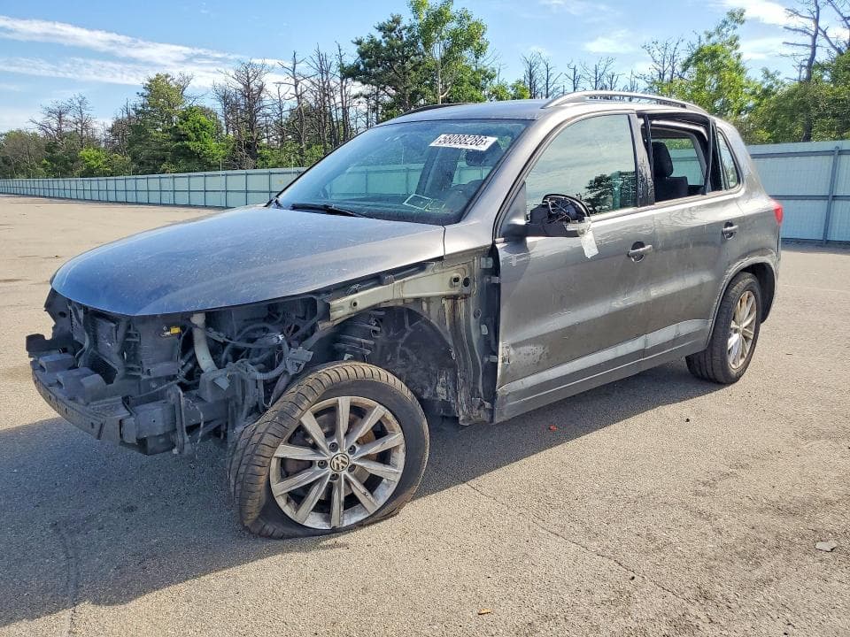 2017 VOLKSWAGEN TIGUAN S - 1