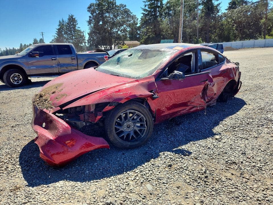 2024 TESLA MODEL 3 - 1