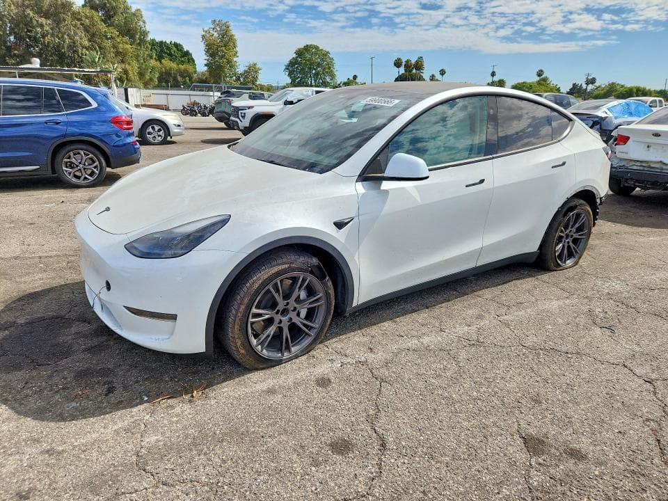 2025 TESLA MODEL Y - 1