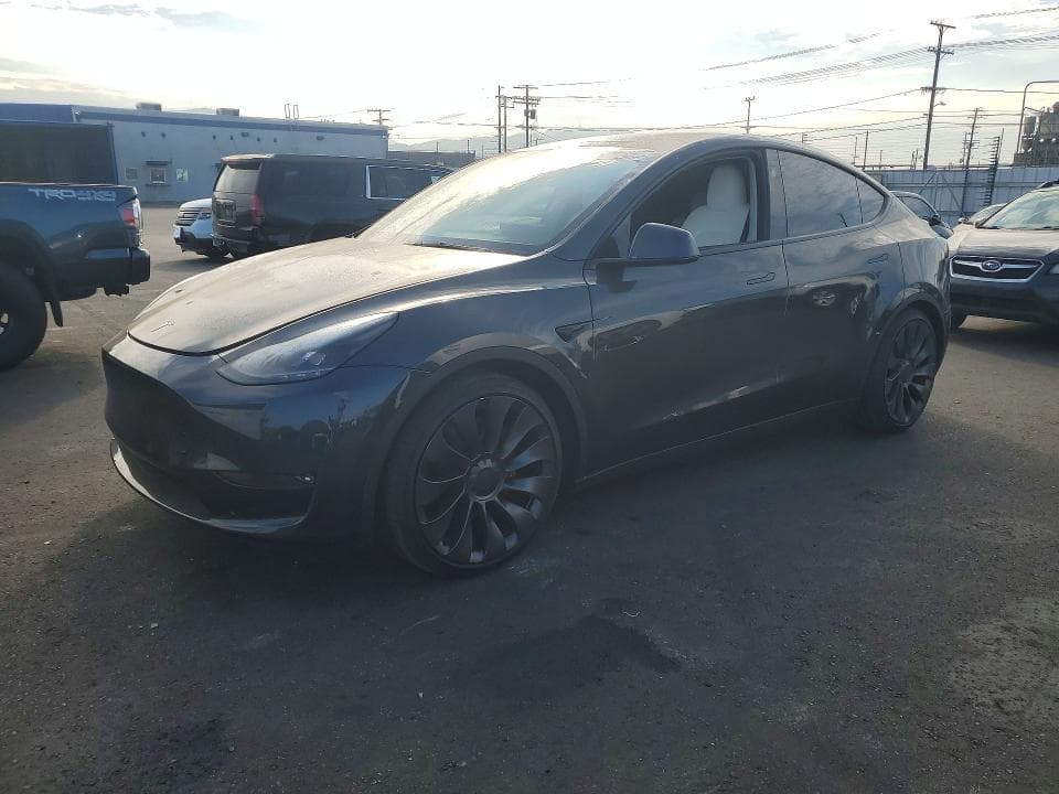 2025 TESLA MODEL Y - 1