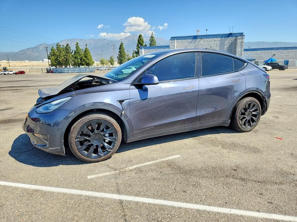 2021 TESLA MODEL Y - 1