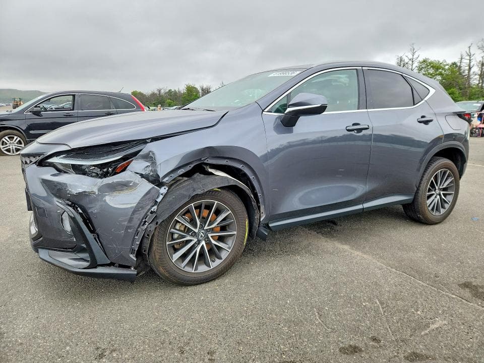 2024 LEXUS NX 350 PREMIUM - 1