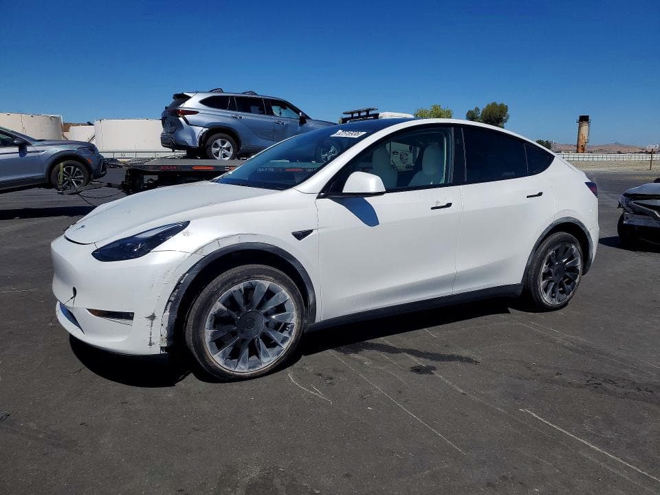 2025 TESLA MODEL Y - 1