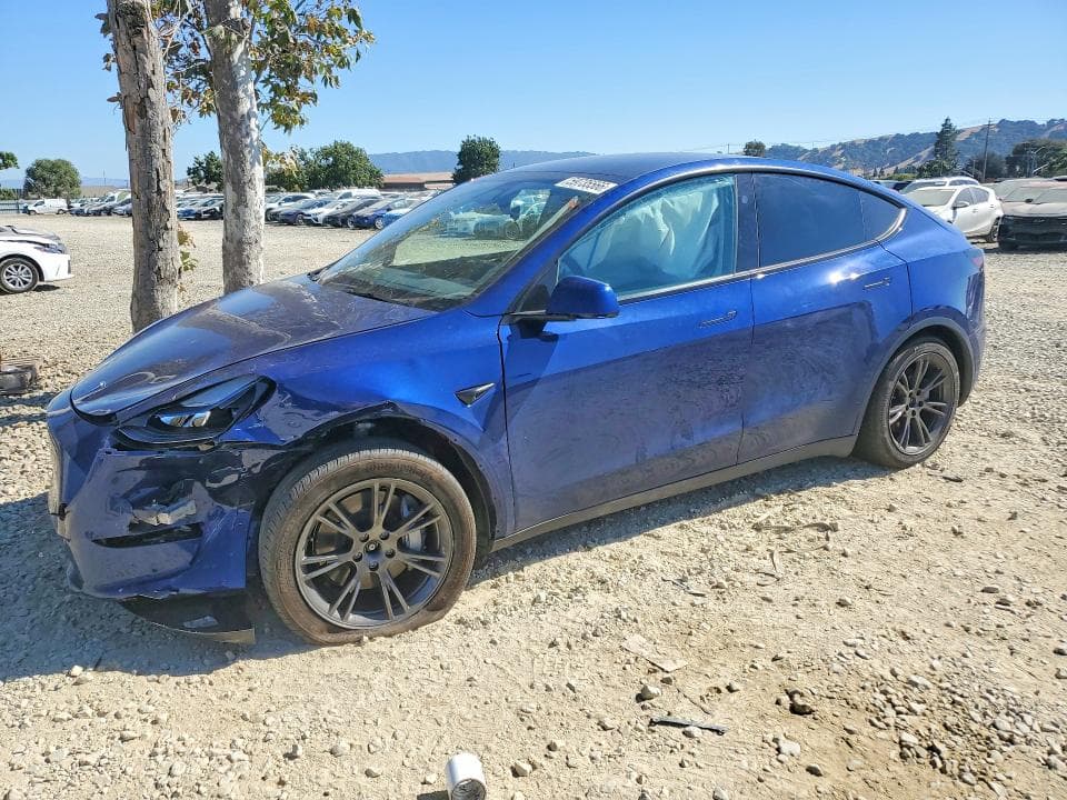 2024 TESLA MODEL Y - 1