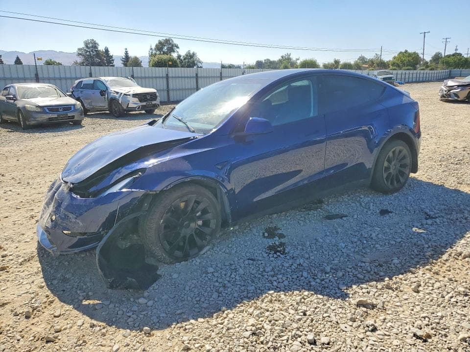 2024 TESLA MODEL Y - 1