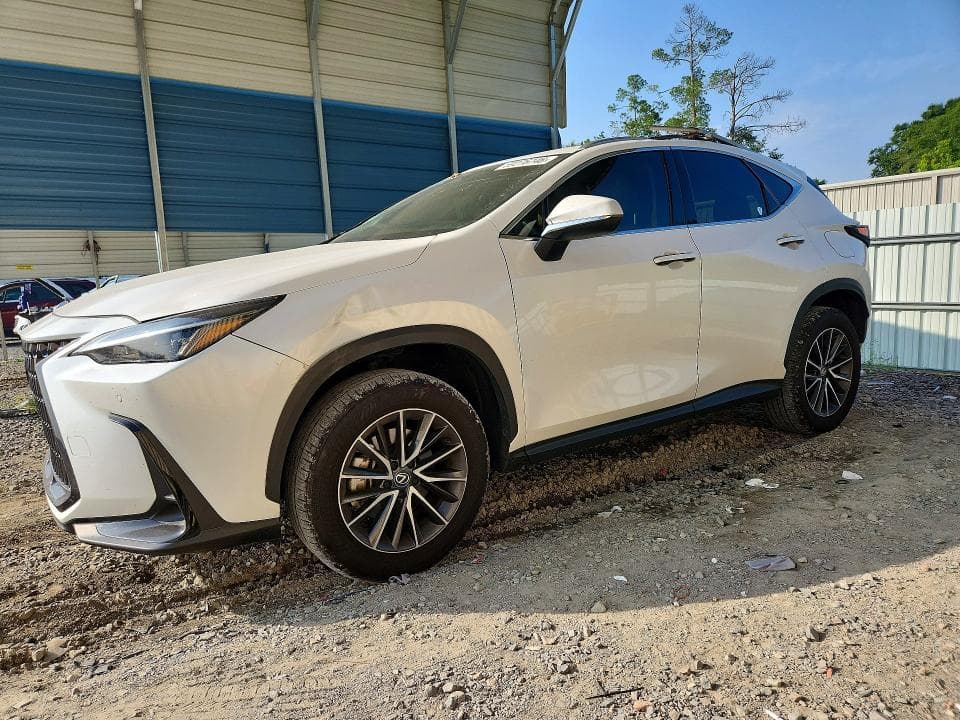 2025 LEXUS NX 350 PREMIUM - 1