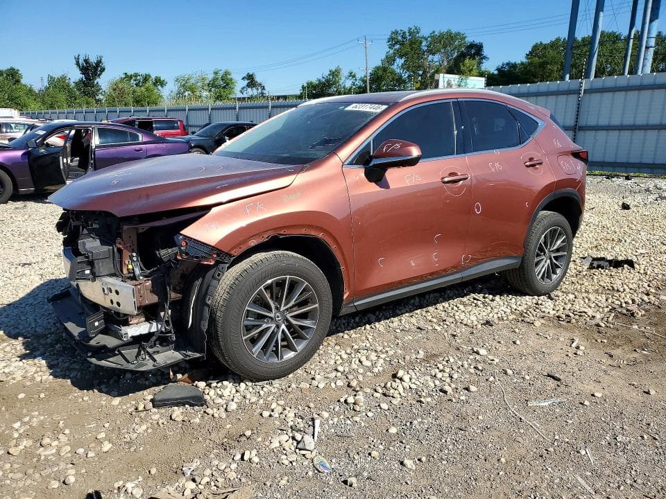 2025 LEXUS NX 350H PREMIUM - 1