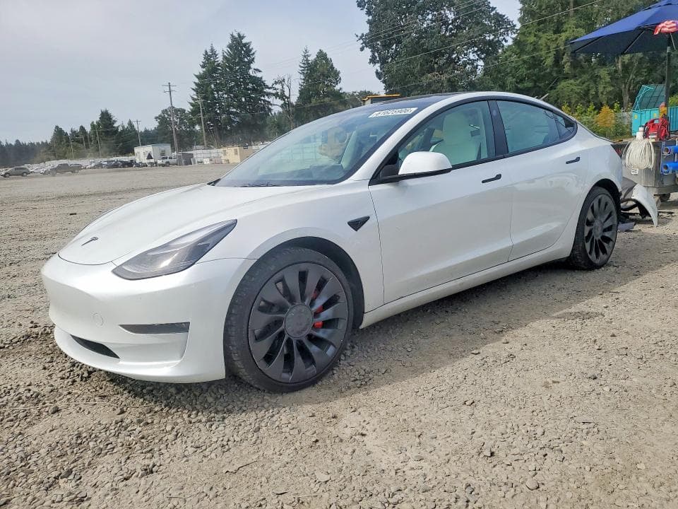 2023 TESLA MODEL 3 - 1