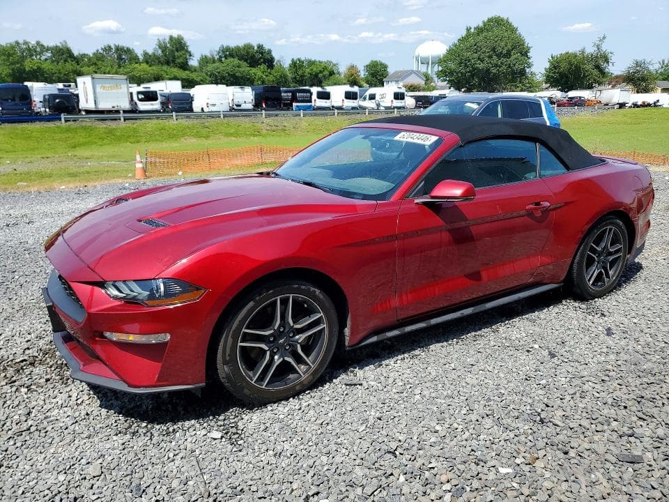 2019 FORD MUSTANG - 1