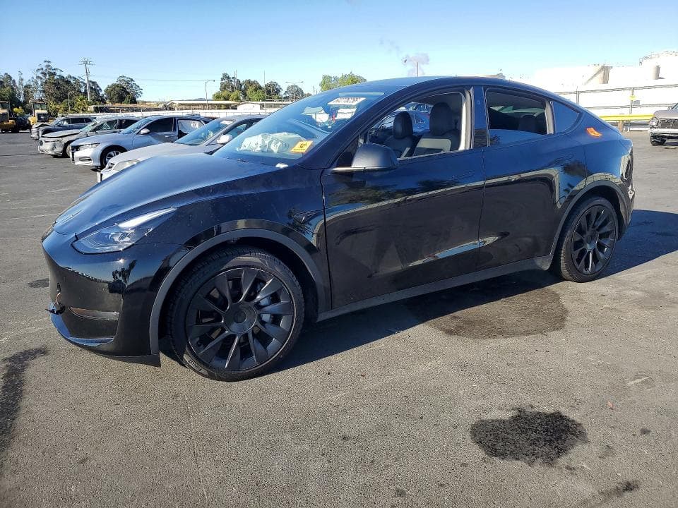 2024 TESLA MODEL Y - 1