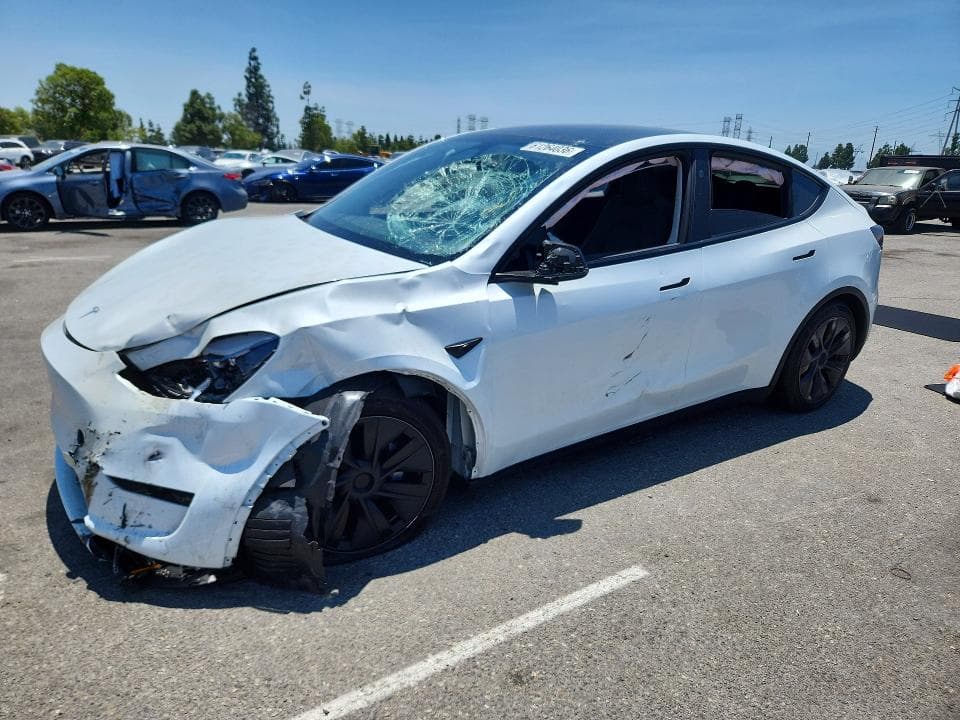 2025 TESLA MODEL Y - 1