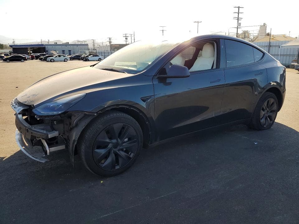 2025 TESLA MODEL Y - 1