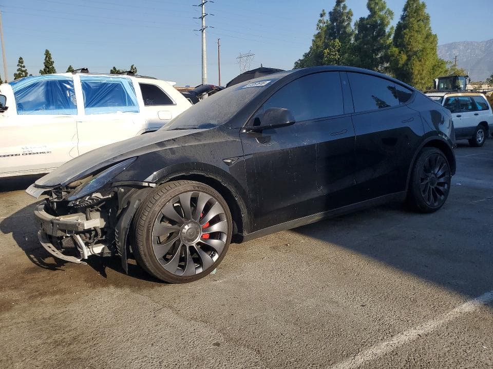 2024 TESLA MODEL Y - 1