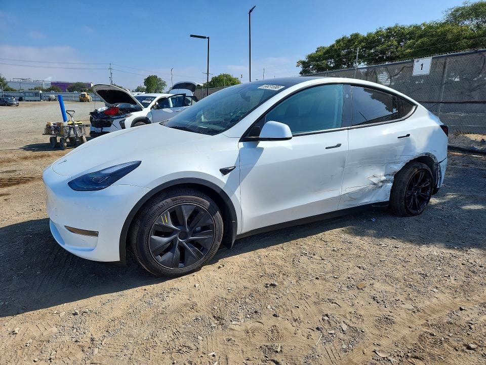 2025 TESLA MODEL Y - 1