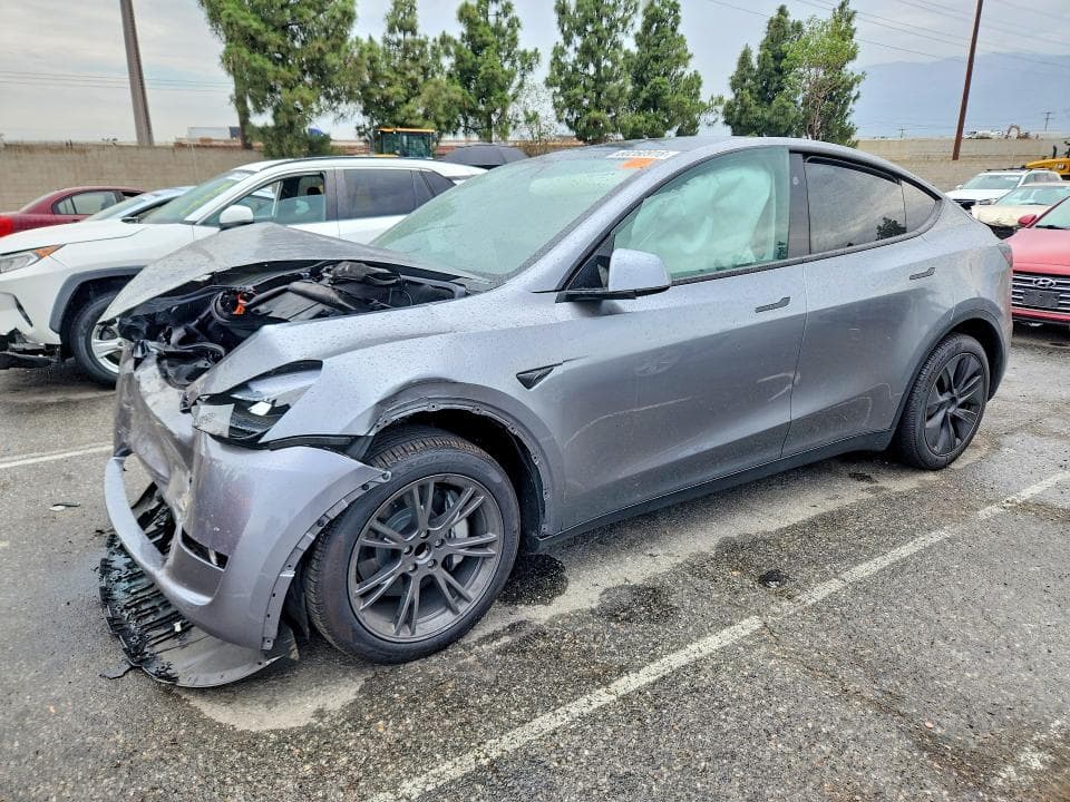 2025 TESLA MODEL Y - 1