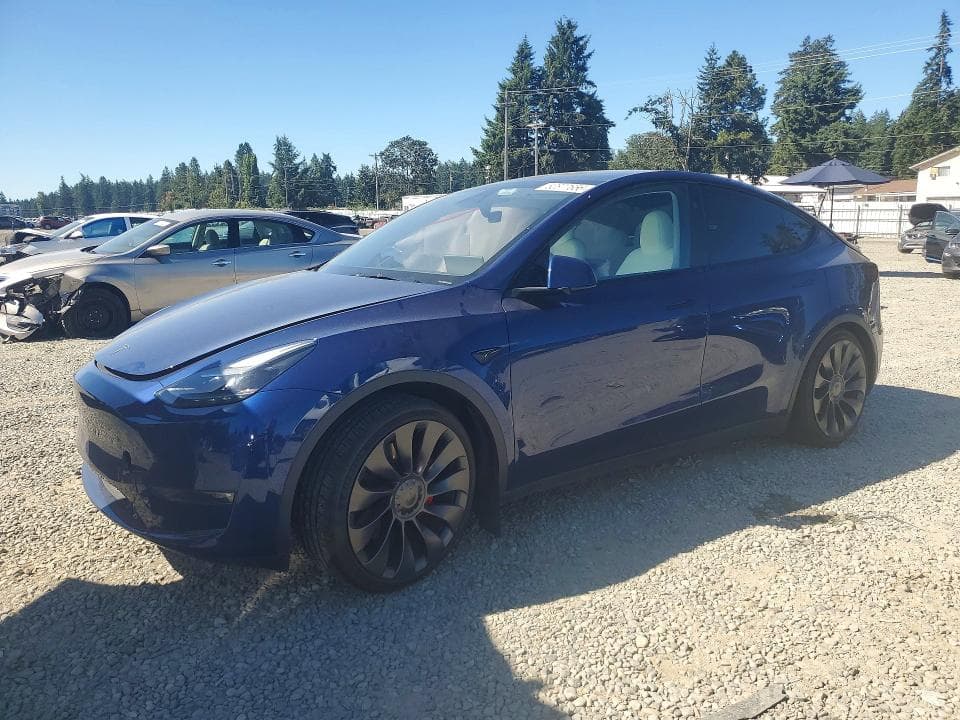 2024 TESLA MODEL Y - 1