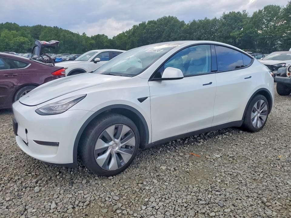 2023 TESLA MODEL Y - 1