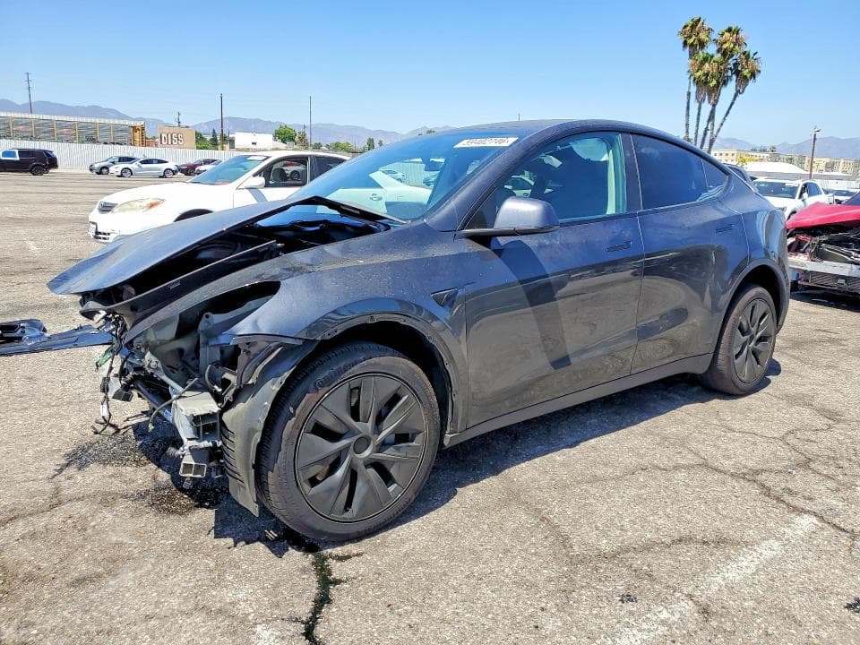 2025 TESLA MODEL Y - 1
