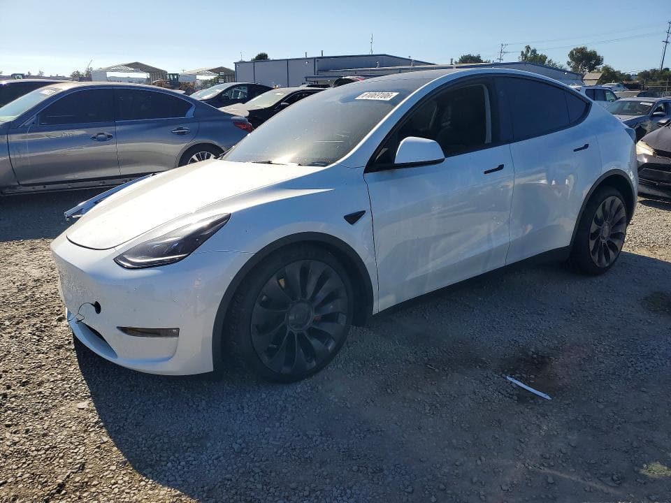 2024 TESLA MODEL Y - 1