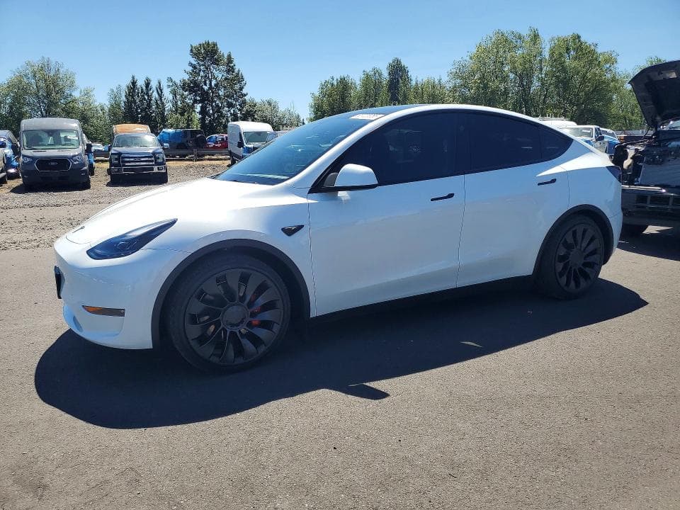2025 TESLA MODEL Y - 1