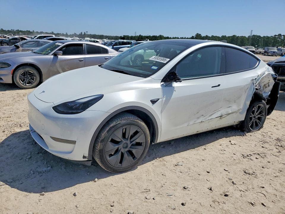 2025 TESLA MODEL Y - 1