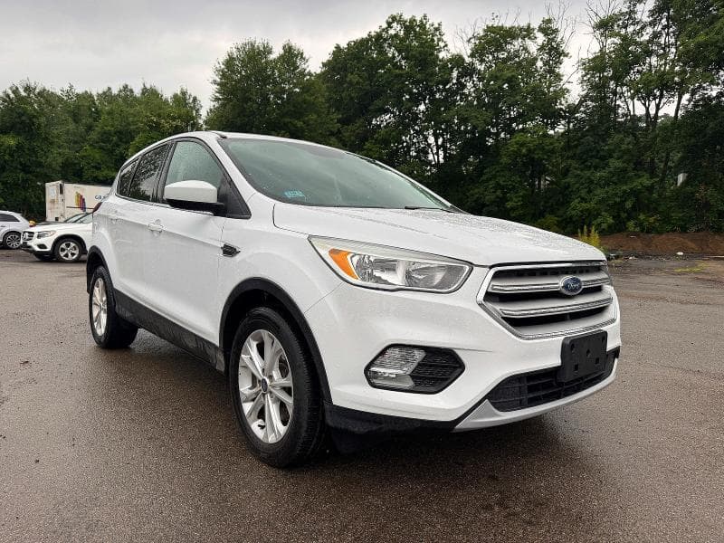 2019 FORD ESCAPE SE - 1