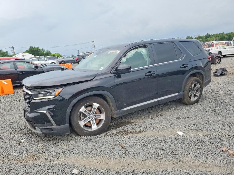 2024 HONDA PILOT EXL EXL - 1