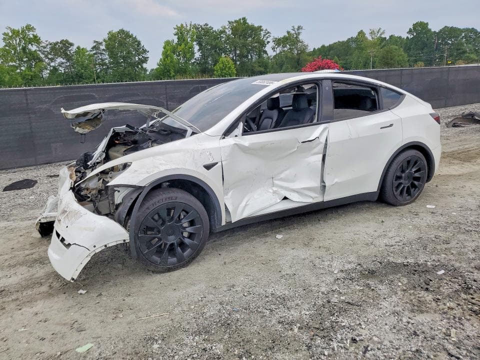 2022 TESLA MODEL Y - 1