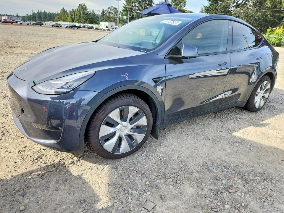 2021 TESLA MODEL Y - 1