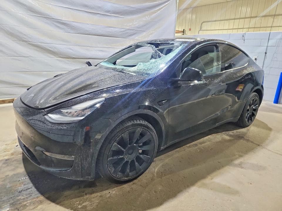 2023 TESLA MODEL Y - 1