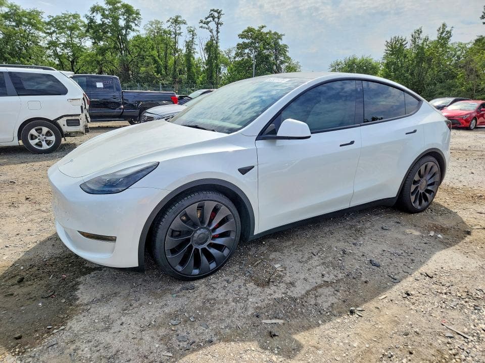 2023 TESLA MODEL Y - 1