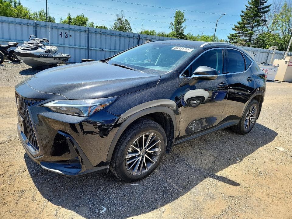 2022 LEXUS NX 250 - 1