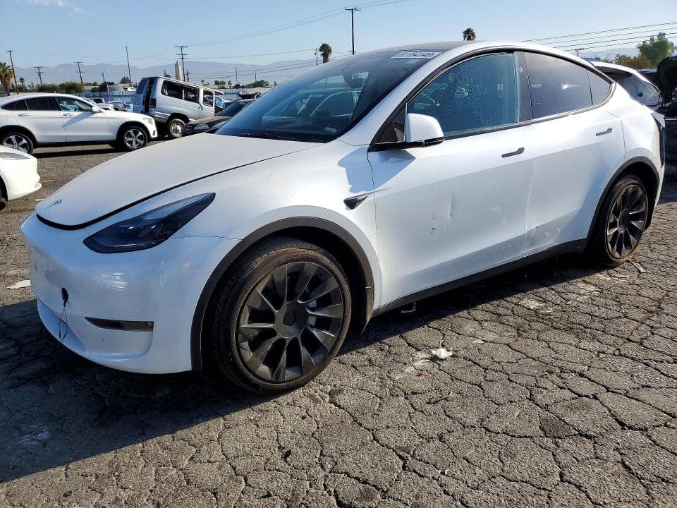 2024 TESLA MODEL Y - 1