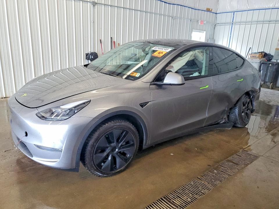 2025 TESLA MODEL Y - 1