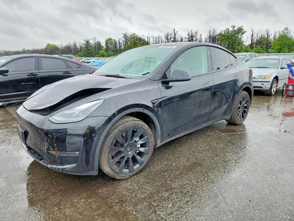 2023 TESLA MODEL Y - 1