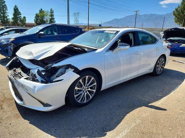 2019 LEXUS ES 300H