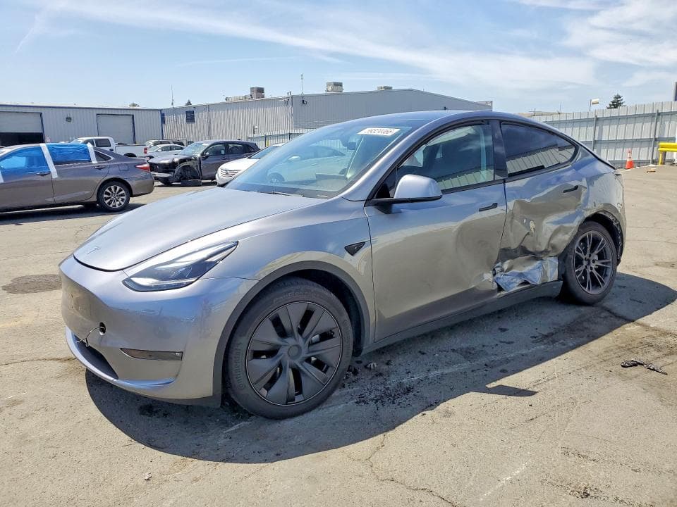 2025 TESLA MODEL Y - 1