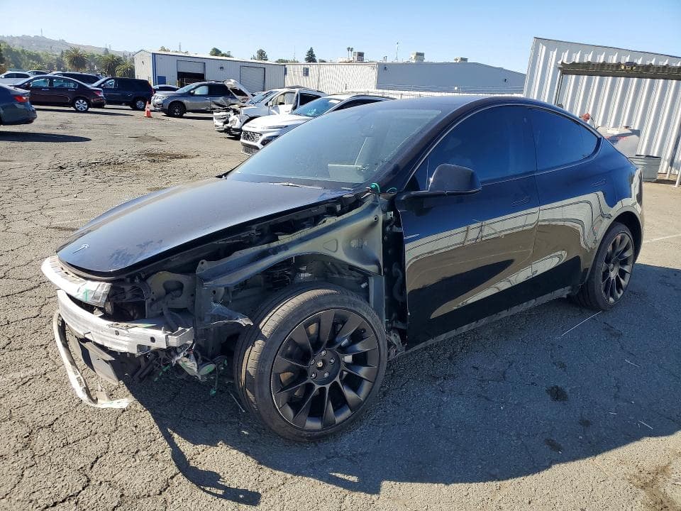 2023 TESLA MODEL Y - 1