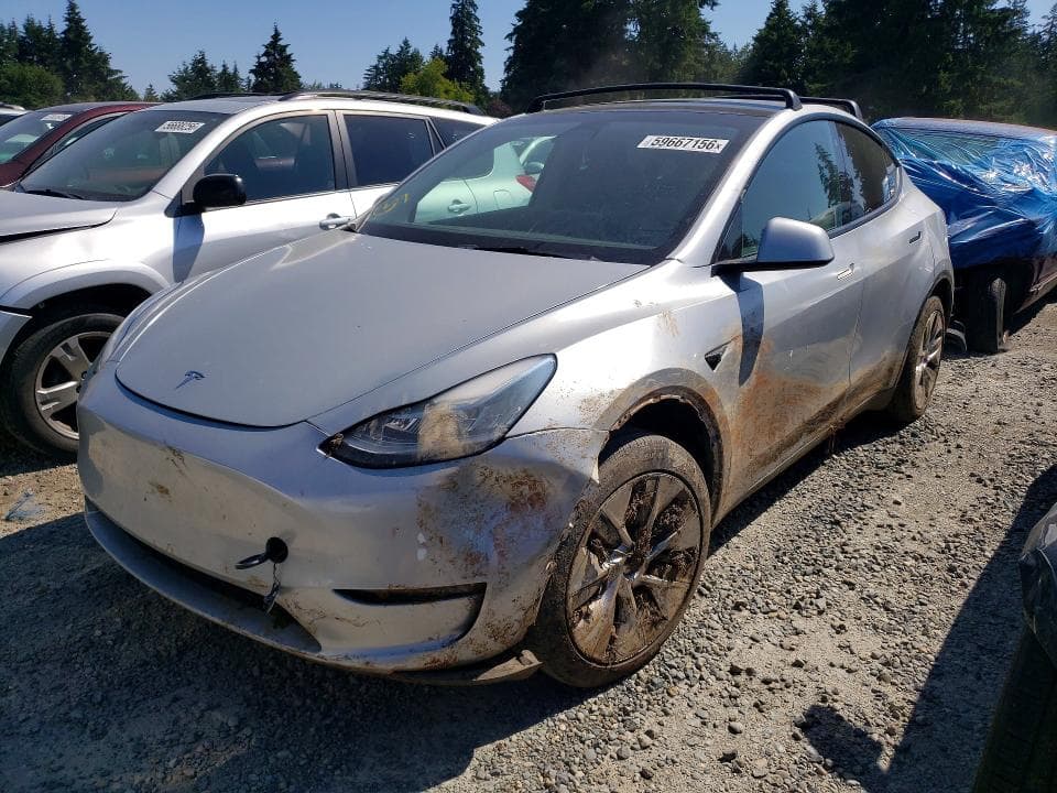 2021 TESLA MODEL Y - 1
