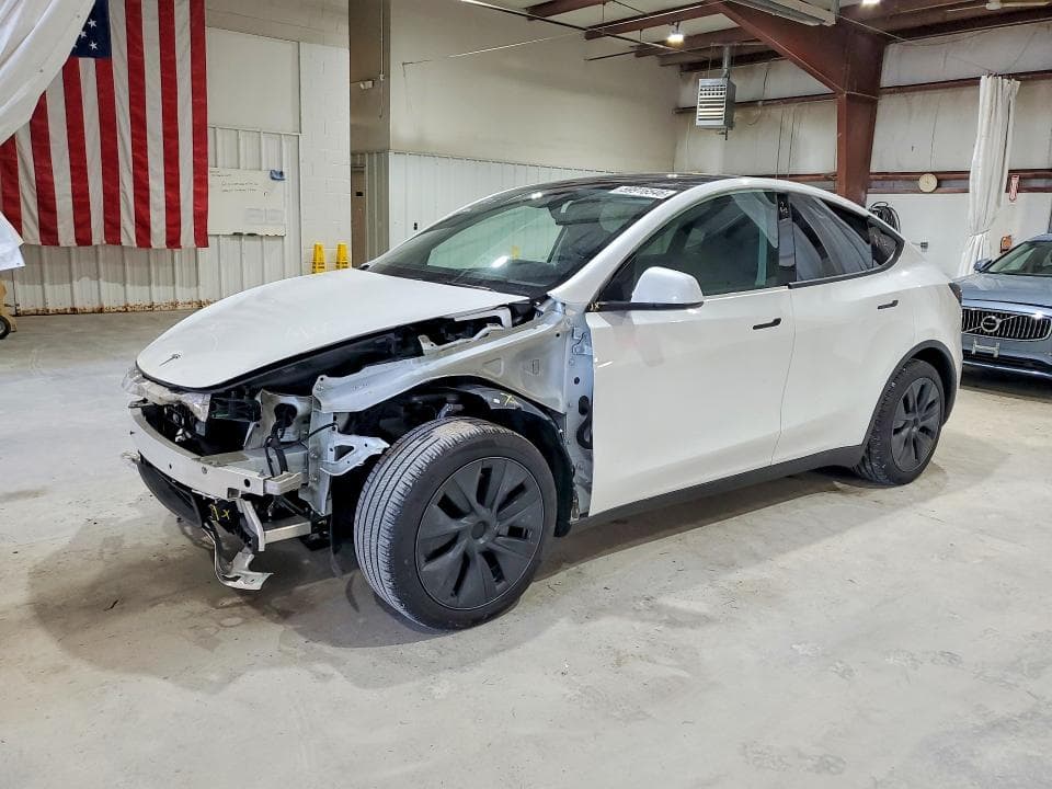 2025 TESLA MODEL Y - 1