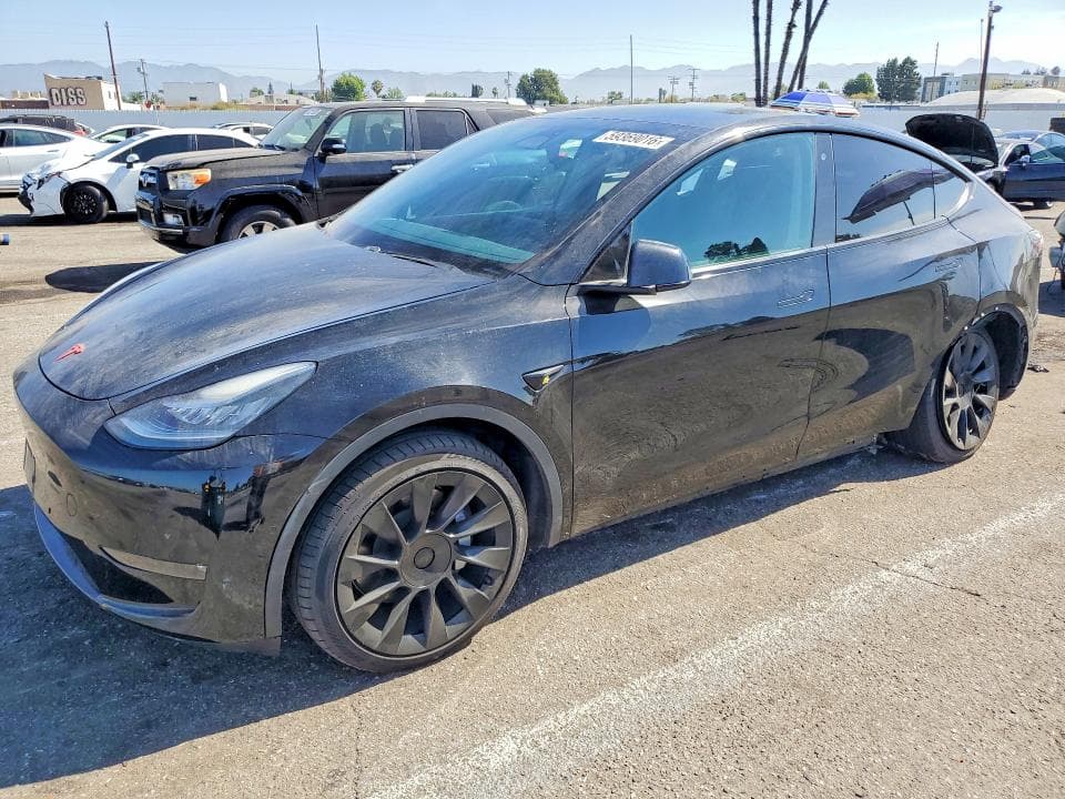2020 TESLA MODEL Y - 1